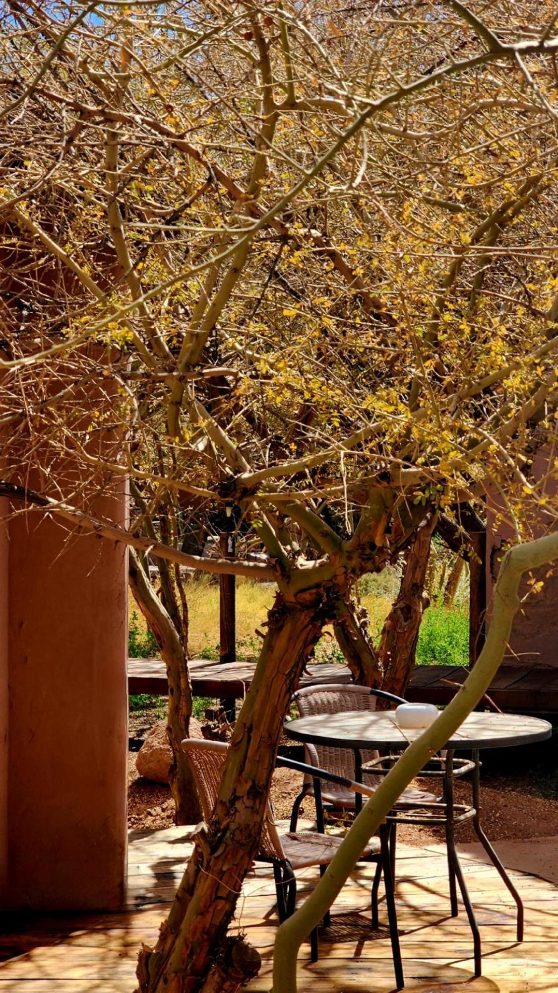 Hotel Tulor San Pedro De Atacama Esterno foto